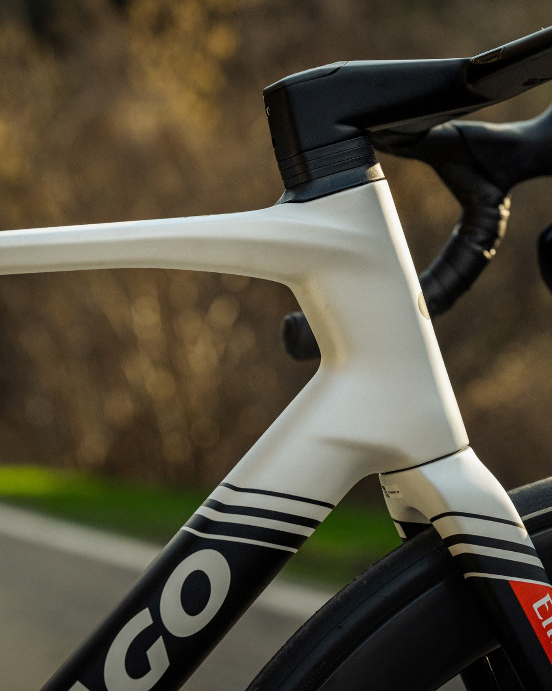 COLNAGO V5RS