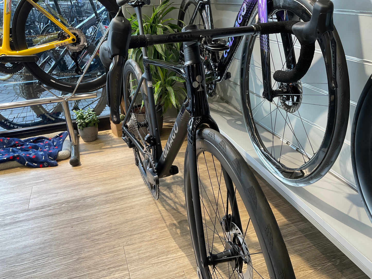 Colnago v5rs