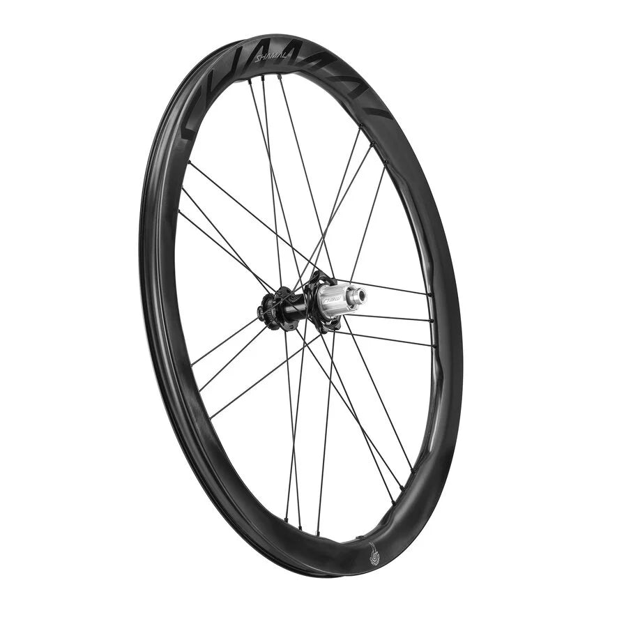 Campagnolo Shamal