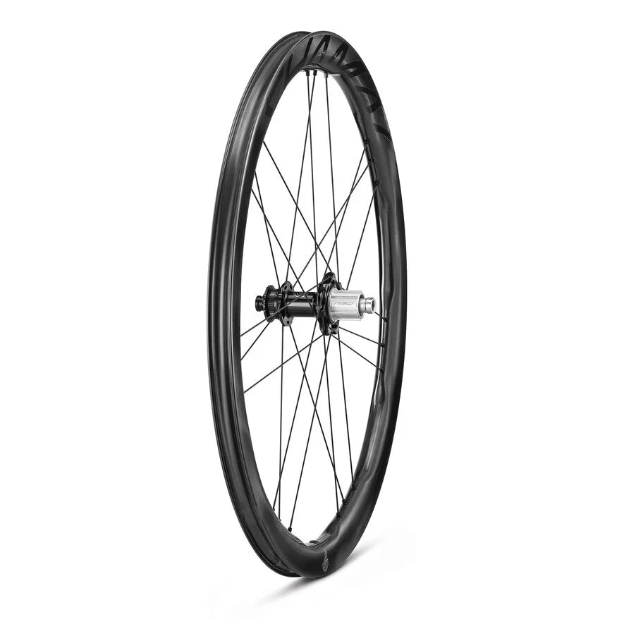 Campagnolo Shamal