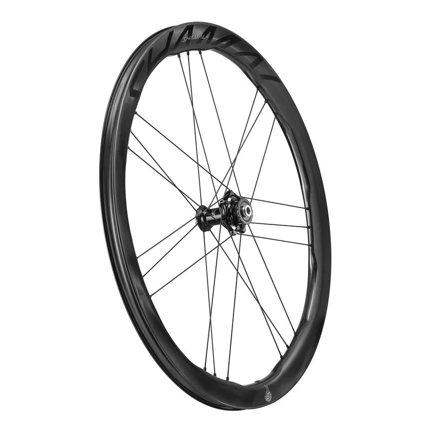 Campagnolo Shamal