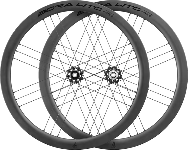 Bora WTO 45 MAT C23 Disc Brake