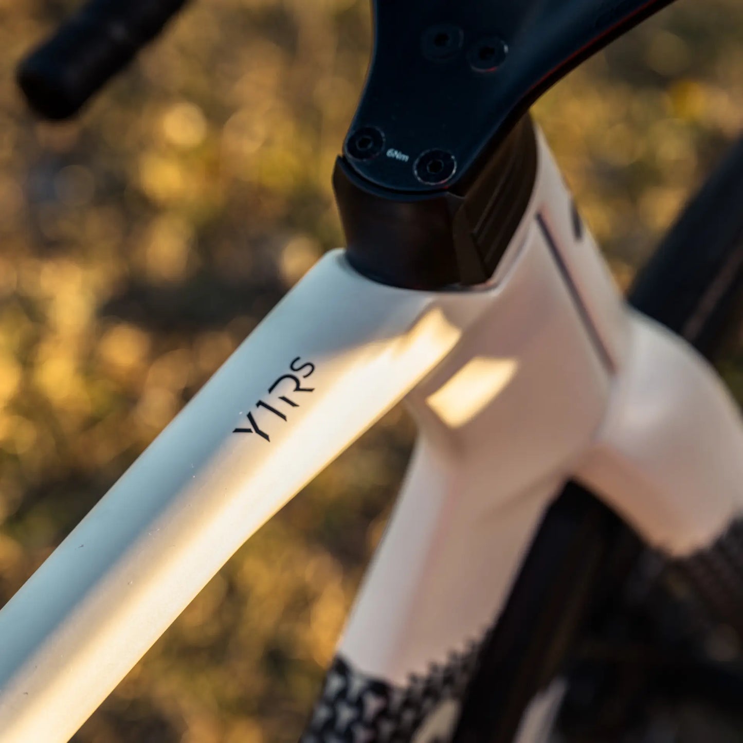 Colnago Y1Rs