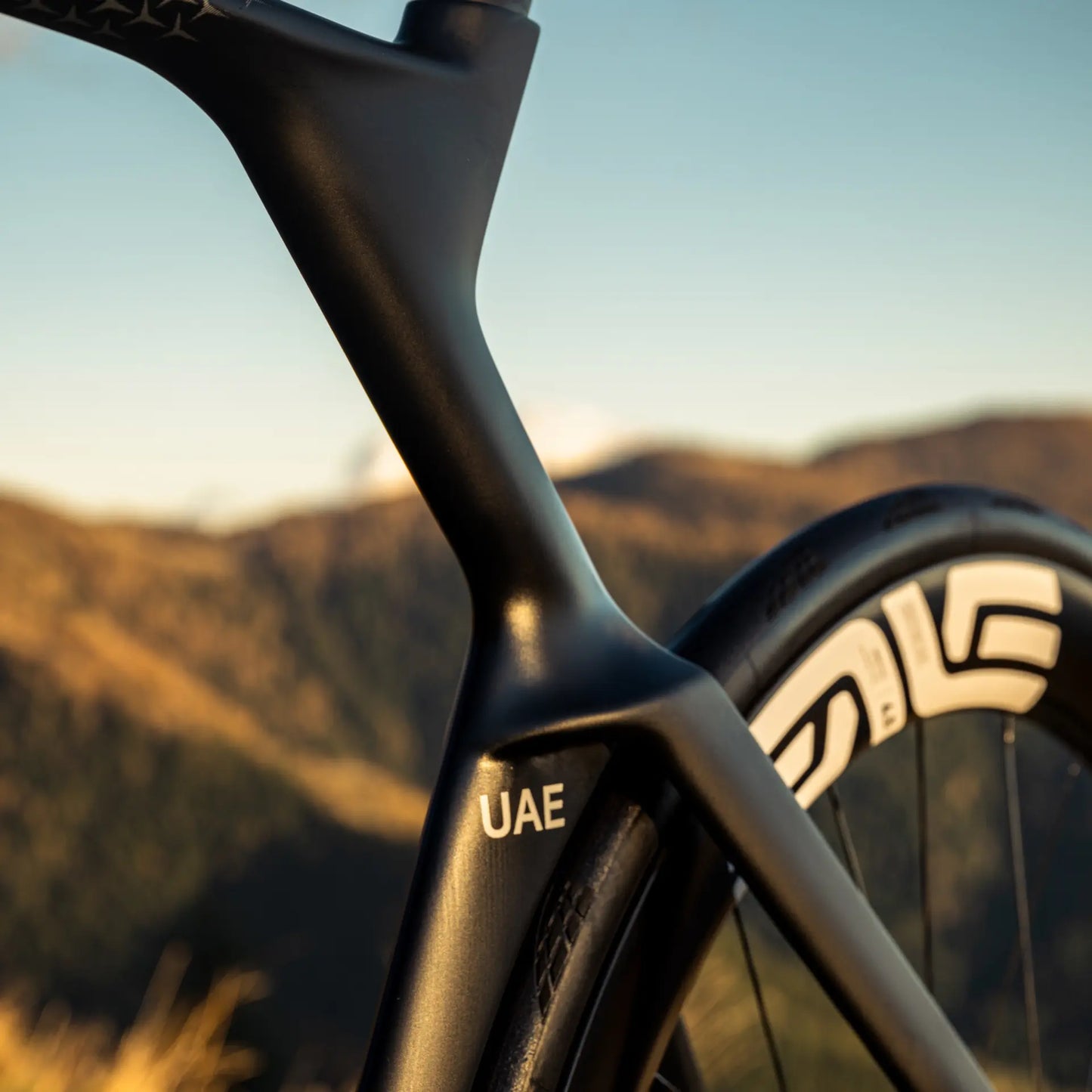 Colnago Y1Rs