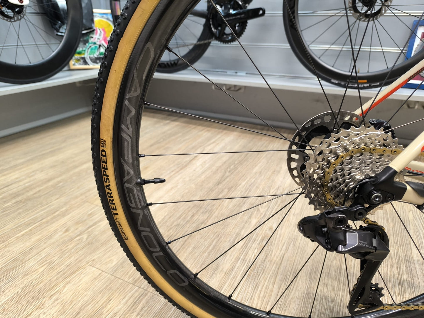 WILIER RAVE SLR TG L USATA