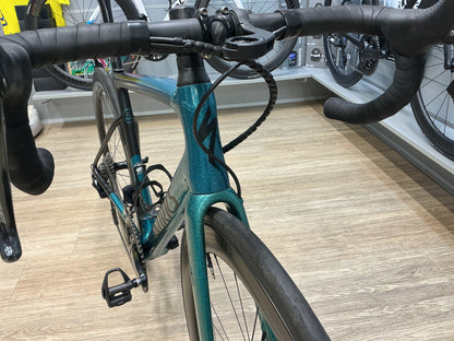 S-WORKS SL6 TG 54 2019