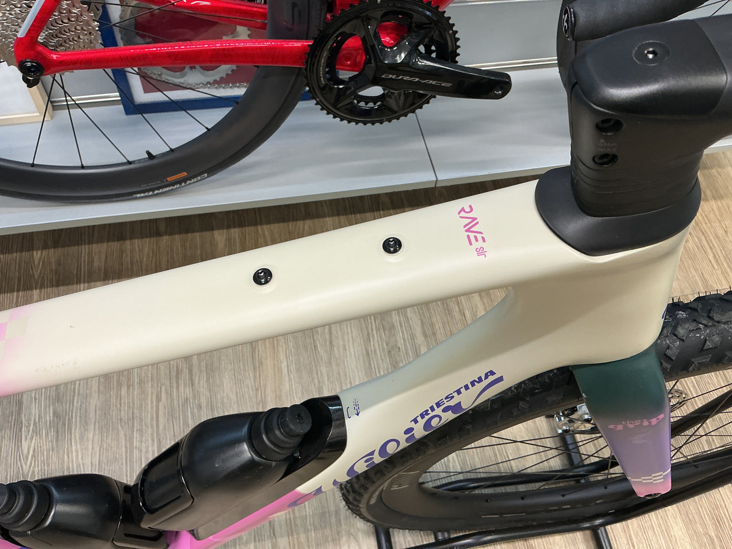 WILIER RAVE SLR TG L COLORAZIONE  THE GRIP GRAVEL TEAM